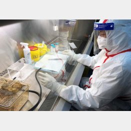 SARSやエボラを扱える施設（武漢病毒研究所から）