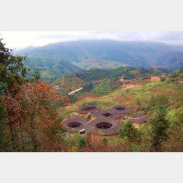 （Ｃ）日刊ゲンダイ