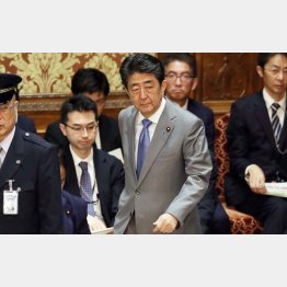 公金私物化も悪びれず（衆議院予算委員会での安倍首相＝28日）／（Ｃ）日刊ゲンダイ