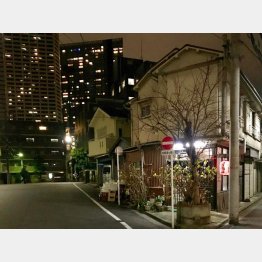 背後には新宿の高層ビル街が（Ｃ）日刊ゲンダイ