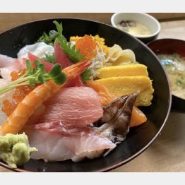 ちらしセット（Ｃ）日刊ゲンダイ