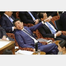 急所の桜疑惑を突っ込まれて文句たらたら（Ｃ）日刊ゲンダイ