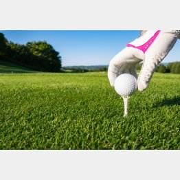 グリーンは神聖スポット（Ｃ）PIXTA