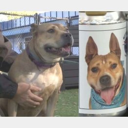 （ＦＯＸ１３のフェイスブックから）