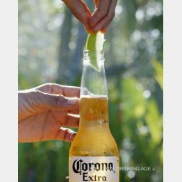 （コロナビールのインスタグラムから）