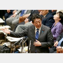 桜隠しに新型肺炎を利用（安倍首相）／（Ｃ）日刊ゲンダイ