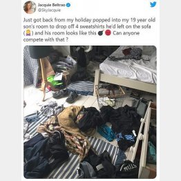 （ベルトラオさんのツイッターから）