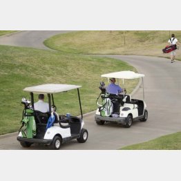 （写真はイメージ）