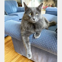 レイチェルさんのインスタグラムから