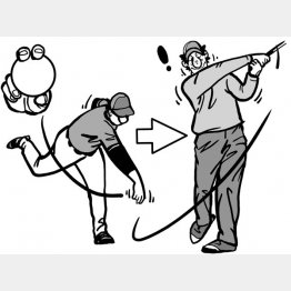 イラスト・渡辺隆司