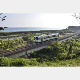 太平洋に沿って走る土佐くろしお鉄道の列車（Ｃ）共同通信社
