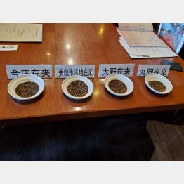 改良品種よりも小粒なふくいそばの在来種（Ｃ）日刊ゲンダイ