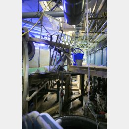 この狭い環境で裏方作業（Ｃ）日刊ゲンダイ