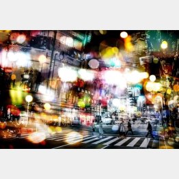 写真はイメージ