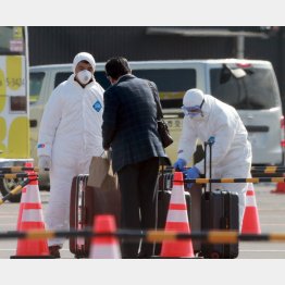 海外メディアは下船対応にも懐疑的（Ｃ）日刊ゲンダイ