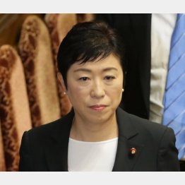 立憲民主党の辻元清美幹事長代行（Ｃ）日刊ゲンダイ