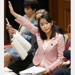 森雅子法相の答弁は「虚偽」だったことがハッキリ（Ｃ）日刊ゲンダイ