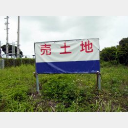 売土地（Ｃ）日刊ゲンダイ
