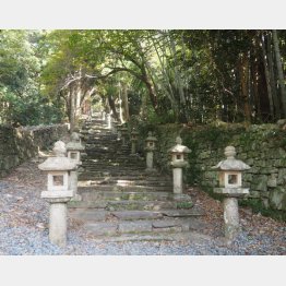 百雁木（ひゃくがんぎ=132段）を上がると歴代藩主の墓所に（万松院）／（Ｃ）日刊ゲンダイ