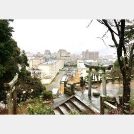 権現山から温泉街を見下ろす（Ｃ）日刊ゲンダイ