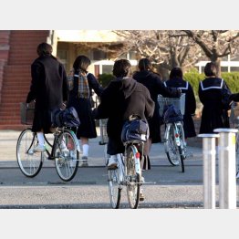 子供たちの健康が第一（写真はイメージ）／（Ｃ）日刊ゲンダイ