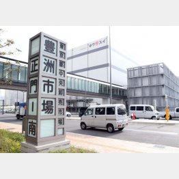 豊洲市場（Ｃ）日刊ゲンダイ