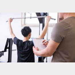 写真はイメージ