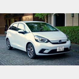 デザイン「柴犬」はモチーフ（写真）小沢コージ