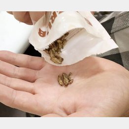 ちょっとナッツっぽい？（Ｃ）日刊ゲンダイ