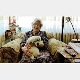 （ニューキャッスル・ヘラルドのツイッターから）