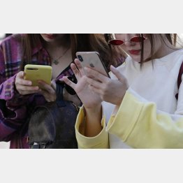 スマホに夢中（Ｃ）日刊ゲンダイ