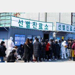 韓国の検査体制は充実している（大邱医療センター前に検査で並ぶ人々）　（C)ＵＰＩ／ニューズコム／共同通信イメージズ
