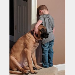 （ジュリアンさんのフェイスブックから）