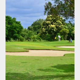 写真はイメージ