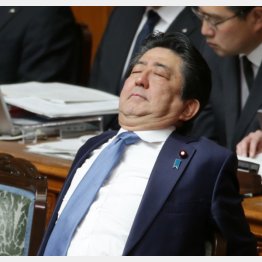 本会議は退屈そうだが…（Ｃ）日刊ゲンダイ