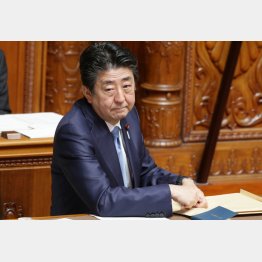 コロナ対策は「評価しない」が５０％、桜疑惑にIR、官邸人事にも「NO」／（Ｃ）日刊ゲンダイ