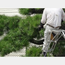 写真はイメージ（Ｃ）123RF