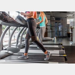 写真はイメージ