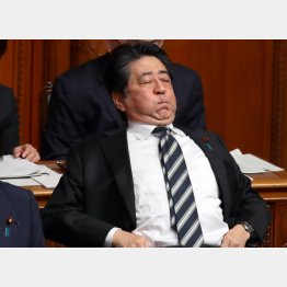 なんとなく物事の本質や責任論がぼやけてしまう…（11日、参院本会議での安倍首相）／（Ｃ）日刊ゲンダイ