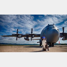 （フェイスブックから）