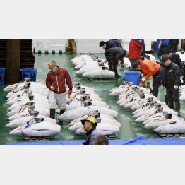 前年比２～３割安（Ｃ）共同通信社