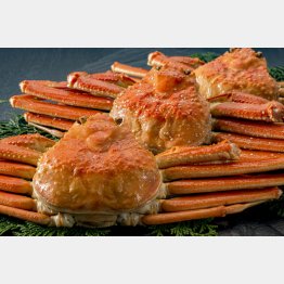 写真はイメージ（Ｃ）PIXTA