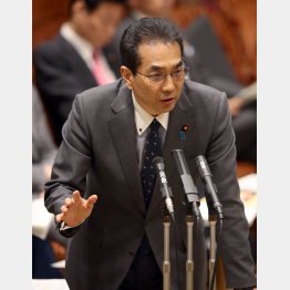 商品券を「林業」にも広げると江藤農相（Ｃ）日刊ゲンダイ