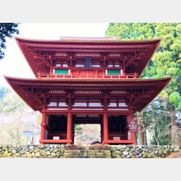 国宝・光明寺二王門（Ｃ）日刊ゲンダイ
