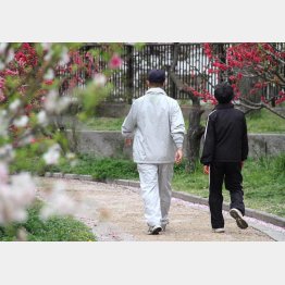 写真はイメージ（Ｃ）日刊ゲンダイ