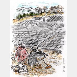 画・牧野伊三夫