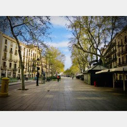 人影が消えた「ランブラス通り」／（提供写真）