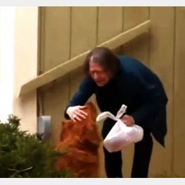 （ＫＣＡＵ－ＴＶのユーチューブから）