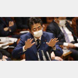 「お肉券」や「お魚券」といい、「１世帯にマスク２枚配布」といい、安倍政権が打ち出す政策は大きく間違えている（Ｃ）日刊ゲンダイ