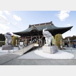 長福寿寺（千葉県）（Ｃ）日刊ゲンダイ